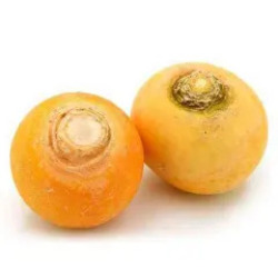 Navet jaune